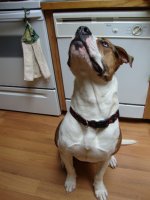04-11-2010010-1.jpg