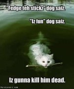 cat_will_kill_dog_epiclosers.jpg