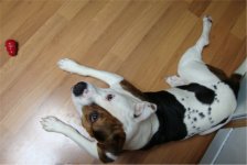 04-11-2010015-1.jpg