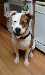 04-11-2010006-1.jpg
