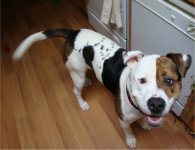 04-11-2010013-1.jpg