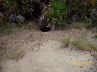 gopher hole.jpg