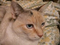 20080101 021a.jpg