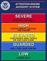 attention-whore-advisory-system.jpg