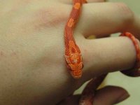 snake1.jpg