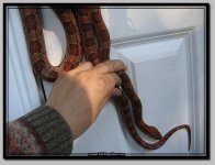 Bender 10202008 (2).JPG