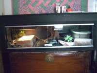 Ares' Viv 008.jpg