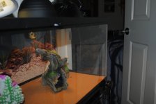 dsc_0656.jpg