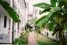 scan0019_700x473.jpg