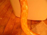 belly6.jpg