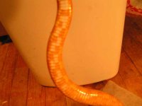 belly5.jpg