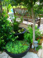 Planting June 2009 001.jpg