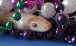 Boz beads 2 rsz.jpg