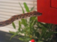IMG_3170.jpg