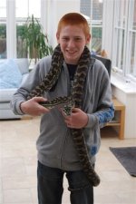 jelly2.jpg jelly2.jpg