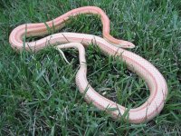 spring09photos 019.jpg