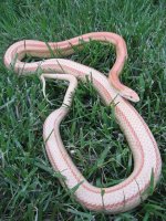 spring09photos 020.jpg