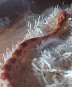 P20-02-10_10.29.JPG