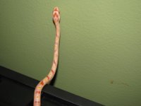 IMG_1143.JPG