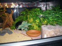 Ares Viv 001.jpg