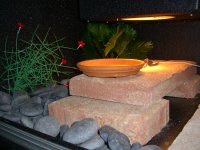 Ares Viv 004.jpg