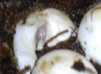 DSC05844.JPG
