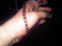 IMG00261-20101220-1811.jpg
