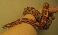 IMG_3757.JPG