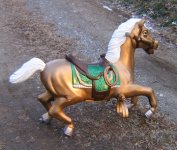 Golden Pocket Pony.jpg