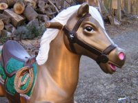 Pocket Pony 4.jpg