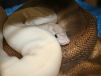 IMG_8963.JPG