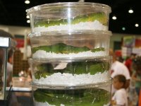 IMG_8967.JPG