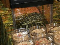 IMG_8977.JPG