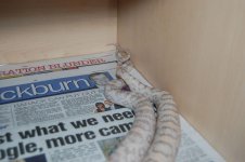 Forum Blossom and Merlin 04 2009.jpg