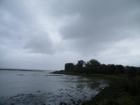 59a.JPG
