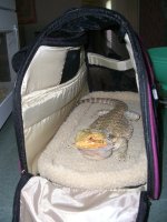 Isabel's Purse 001_800.jpg