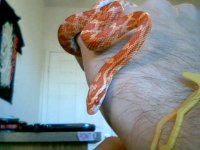 2011-03-01 15-37-27.384.jpg