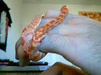 2011-03-01 15-39-13.250.jpg