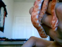 2011-03-01 15-37-57.977.jpg