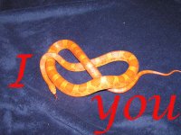 snake love.jpg