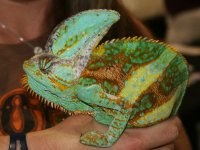 IMG_9213.JPG