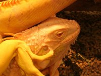 IMG_9280.JPG