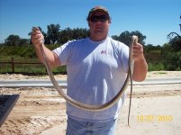 coachwhip I.jpg