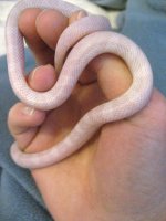IMG_4629 small.JPG