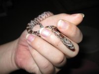 Canon Clutch1 240109 006.jpg