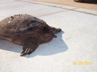 ecsoftshell big2.jpg