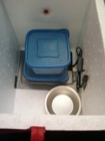 042110145838.jpeg 042110145838.jpeg