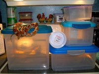 Feeding Bins 002.jpg