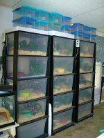 Three Racks 003.jpg