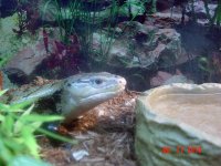 DSC04076.jpg